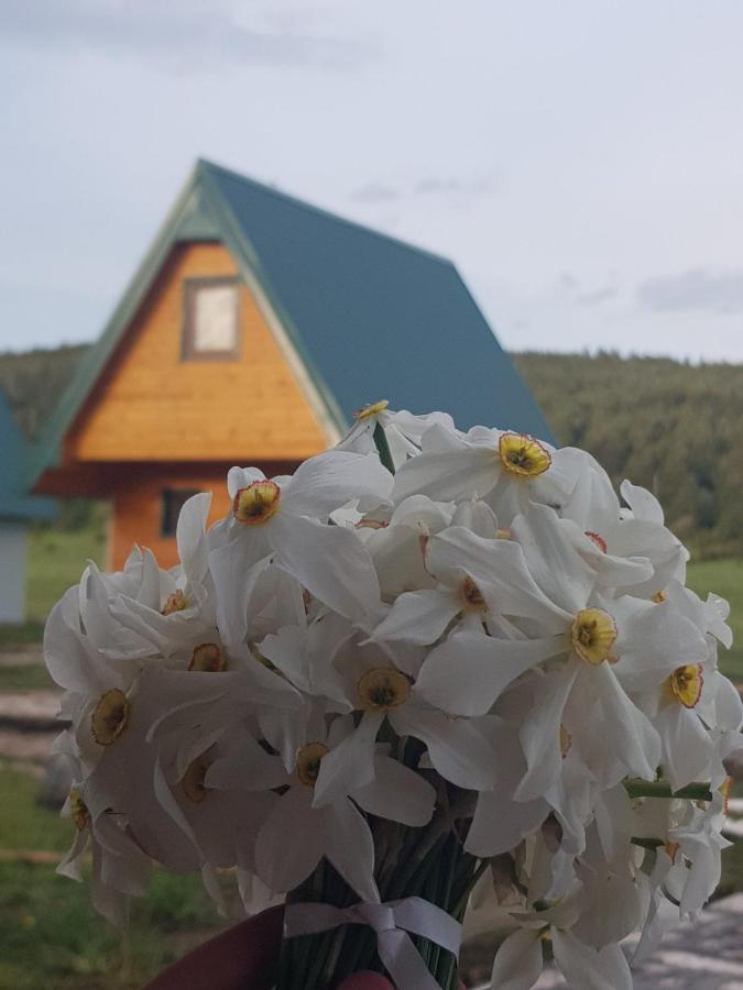 Bungalovi Tim 자블야크 외부 사진